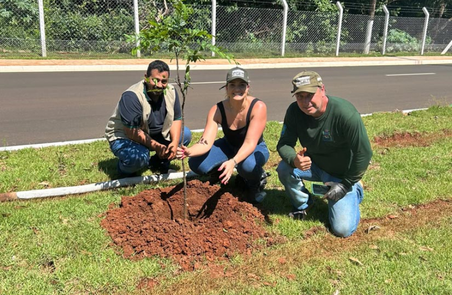 Curso de educação ambiental tem encerramento com plantio de árvores na Chácara Flora