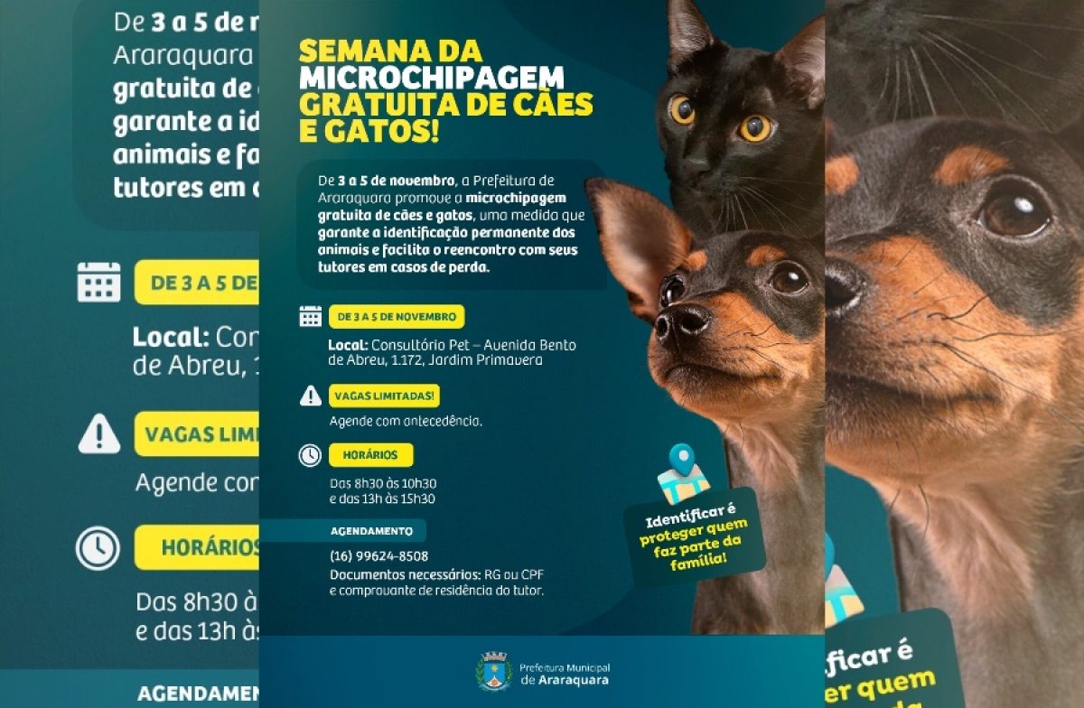 Prefeitura promove semana de microchipagem gratuita de cães e gatos